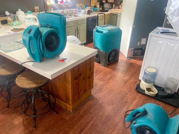  Greenville, OH Water damage restoration Pros