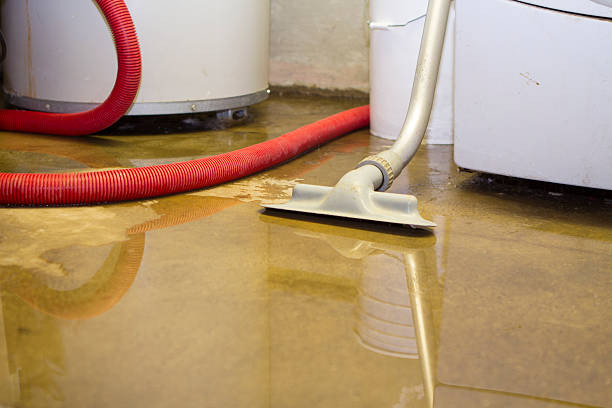 Best Water damage restoration near me  in Greenville, OH