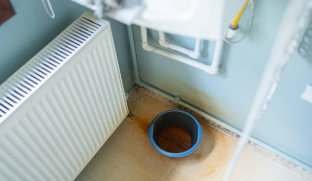 Best Water damage contractors near me  in Greenville, OH
